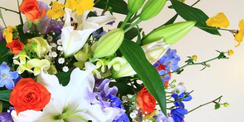 写真 2016-04-01 13 09 15