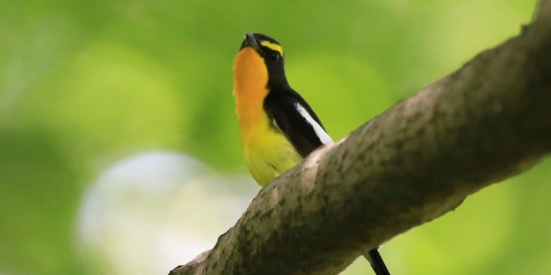 写真 2016-07-11 13 57 53